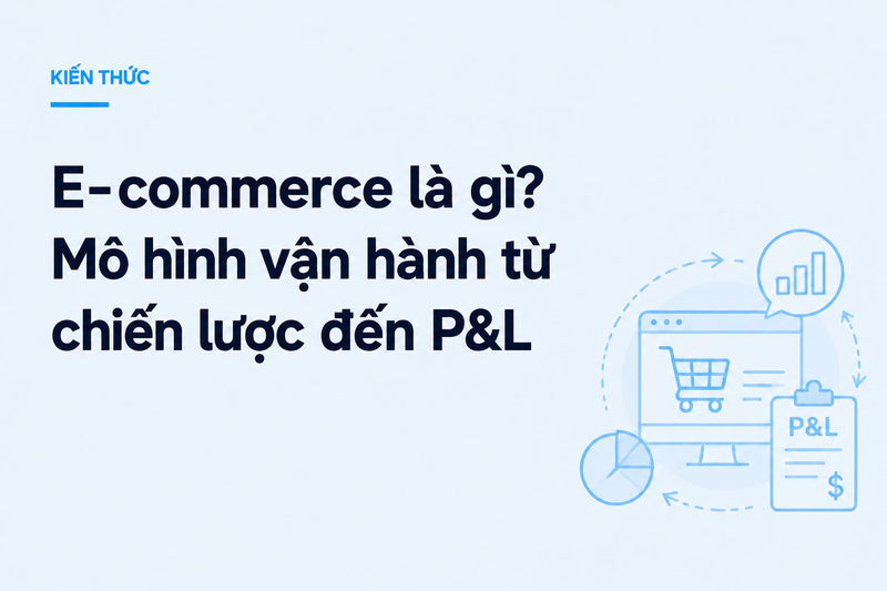 Hallovis được thành lập từ năm 2024