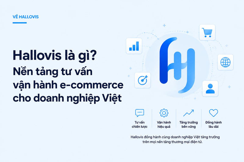 Hallovis là gì? Nền tảng tư vấn vận hành e-commerce cho doanh nghiệp Việt