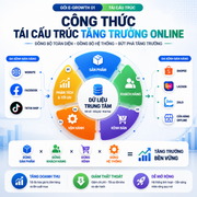 E-Growth 02 - Tái Cấu Trúc Tăng Trưởng Kênh Online