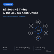 e-growth-01-36-gio-ra-soat-he-thong-du-lieu-da-kenh-online
