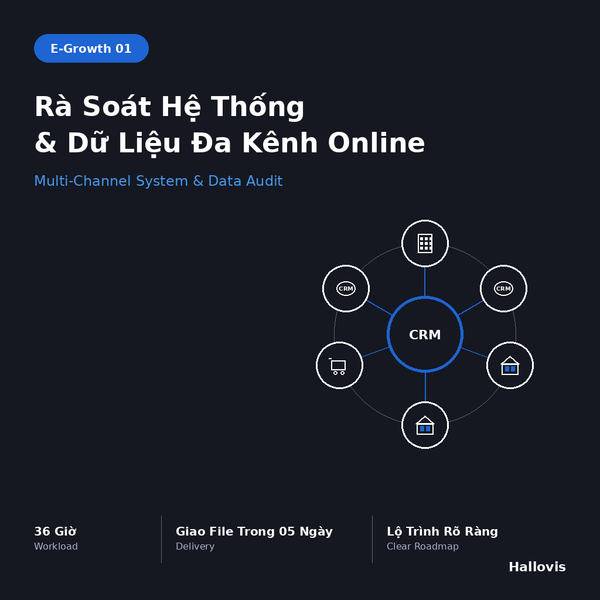 E-Growth 01 - 36 giờ Rà Soát Hệ Thống & Dữ Liệu Đa Kênh Online